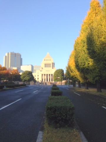 東京1